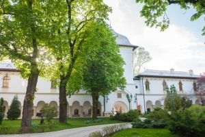 Elections won, trust to build; what's next at Cotroceni